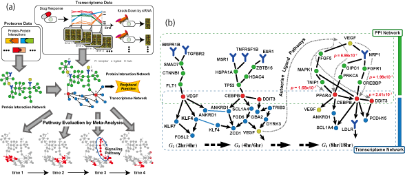 tamada_psb2009.png