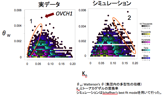balanging_selection_fuji.png