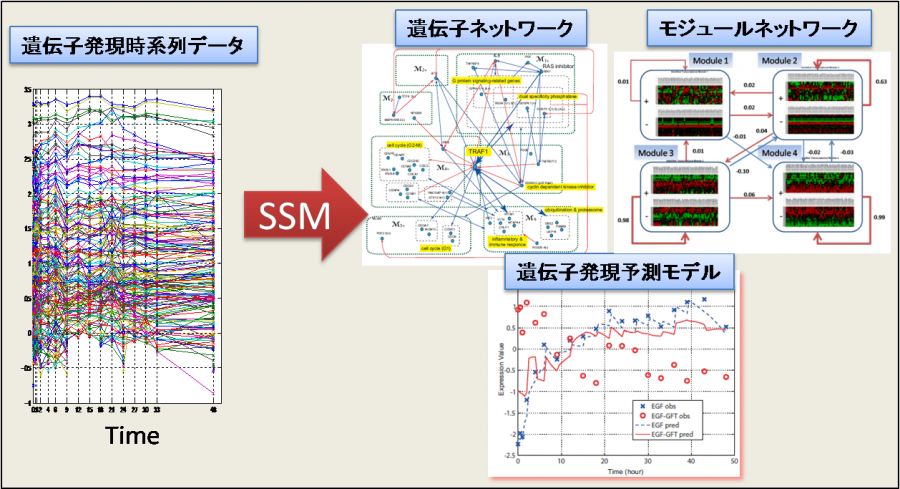 ssm_products.png