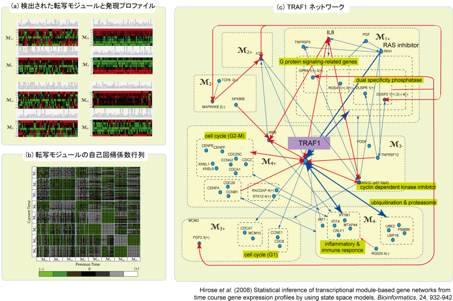 ssm_scheme_ry.png