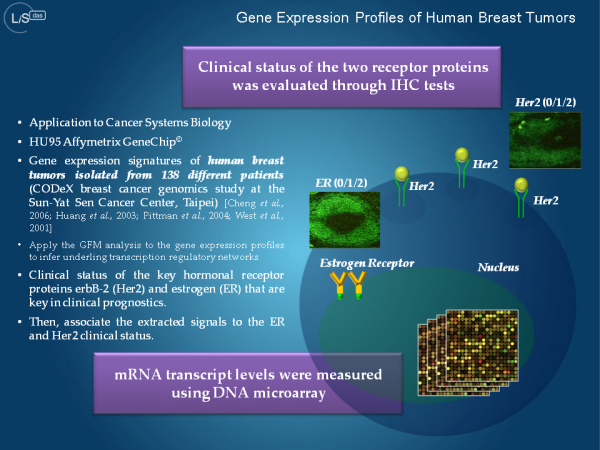 ヒト乳癌トランスクリプトーム解析